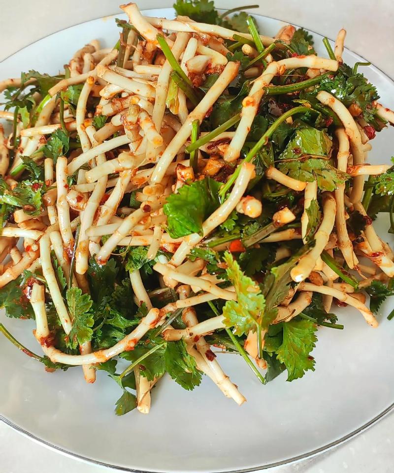 鱼腥草怎么吃，鱼腥草怎么做好吃，鱼腥草怎么吃,鱼腥草怎么做好吃又简单-第6张图片-优品飞百科