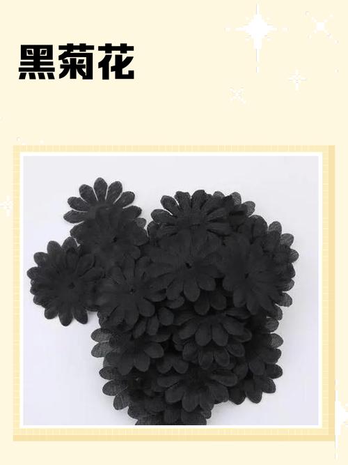 新买的黑心菊怎么养,黑心菊从播种到开花需要多长时间?-第5张图片-优品飞百科 新买的黑心菊怎么养,黑心菊从播种到开花需要多长时间?-第5张图片-优品飞百科