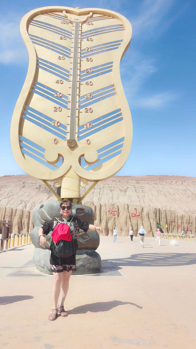 琴叶榕的功效和作用?琴叶榕有什么寓意吗琴叶榕的风水作用及禁忌介绍?-第5张图片-优品飞百科 琴叶榕的功效和作用?琴叶榕有什么寓意吗琴叶榕的风水作用及禁忌介绍?-第5张图片-优品飞百科