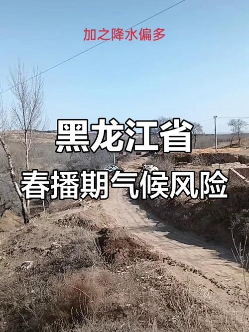 黑河天气预报15天查询?黑河天气预报15天查询表格?-第5张图片-优品飞百科 黑河天气预报15天查询?黑河天气预报15天查询表格?-第5张图片-优品飞百科