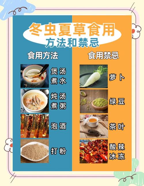 冬虫夏草的功效与作用,人工冬虫夏草的功效与作用?-第2张图片-优品飞百科 冬虫夏草的功效与作用,人工冬虫夏草的功效与作用?-第2张图片-优品飞百科