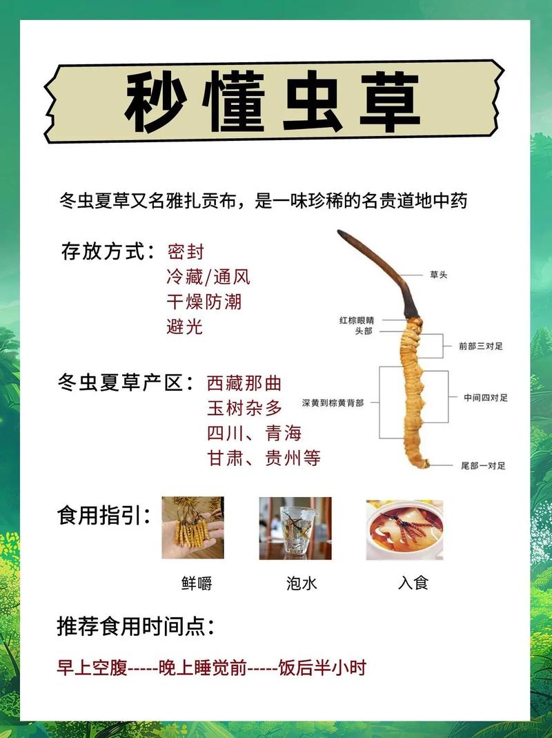 冬虫夏草的功效与作用,人工冬虫夏草的功效与作用?-第4张图片-优品飞百科 冬虫夏草的功效与作用,人工冬虫夏草的功效与作用?-第4张图片-优品飞百科