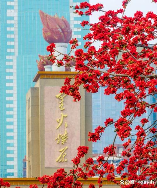 木棉树象征什么，什么时候开？木棉树代表什么象征意义？-第6张图片-优品飞百科