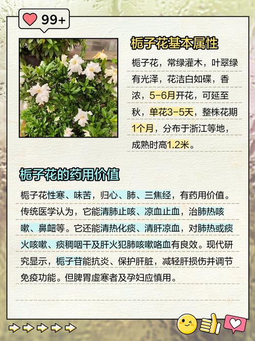 栀子花的风水作用，栀子花风水与属相？-第4张图片-优品飞百科