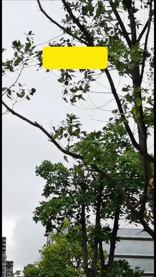 安徽淮南天气预报15天,安徽淮南天气预报一周查询?-第1张图片-优品飞百科 安徽淮南天气预报15天,安徽淮南天气预报一周查询?-第1张图片-优品飞百科