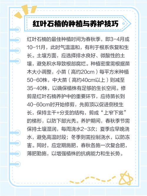 红叶石楠的主要价值，红叶石楠的药用部位-第7张图片-优品飞百科