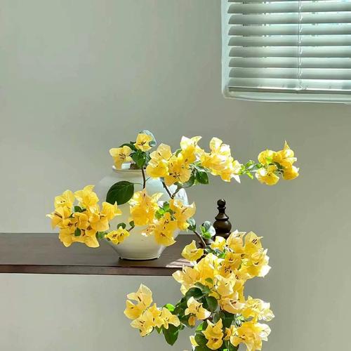 黄色花的植物？黄色花的植物 种子榨油？-第1张图片-优品飞百科