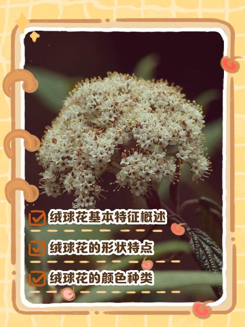 黄色花的植物？黄色花的植物 种子榨油？-第4张图片-优品飞百科