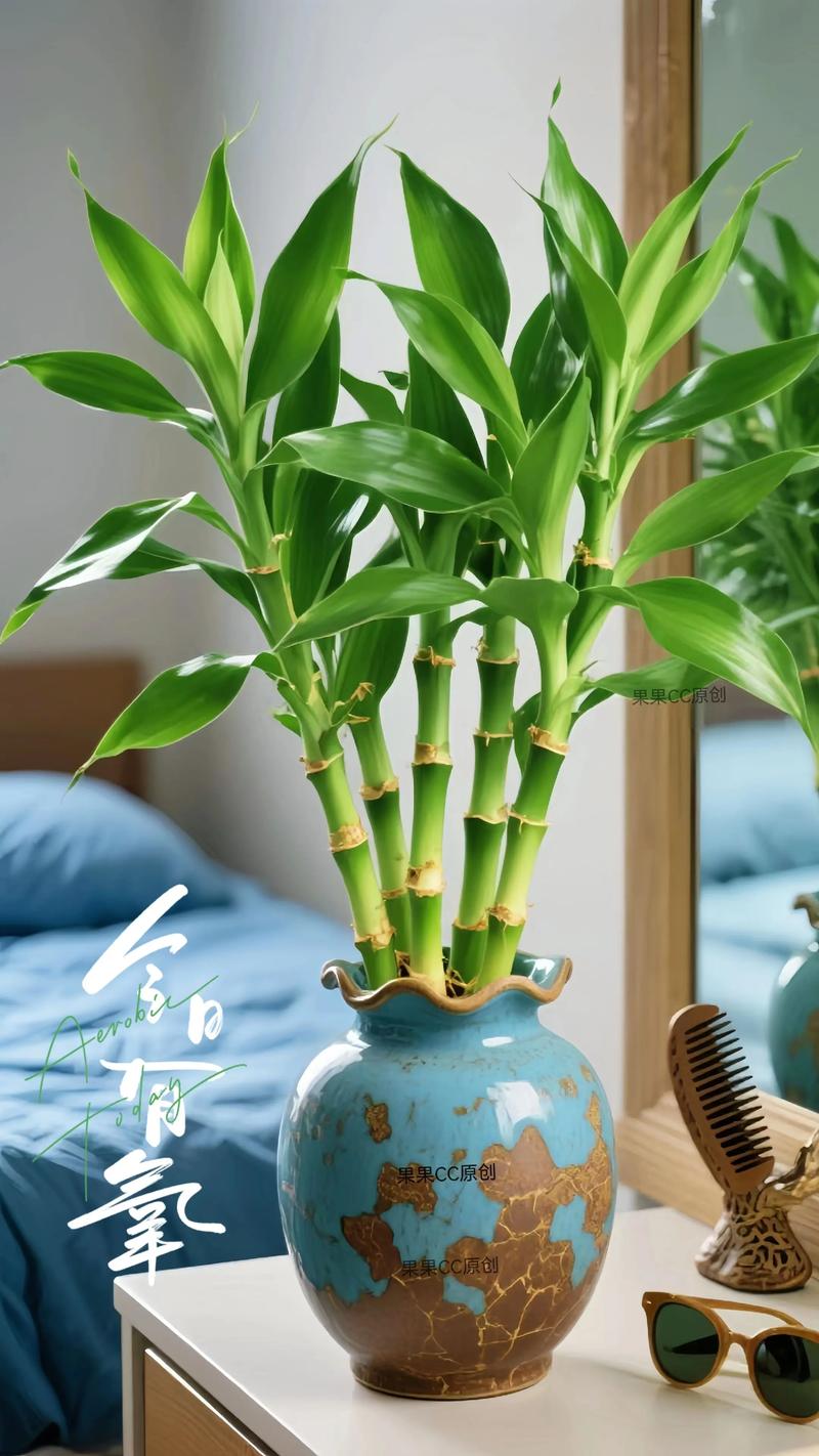 千手观音能放在室内吗，花有毒吗，怎么养？，千手观音可以放卧室吗？-第6张图片-优品飞百科