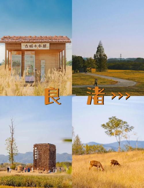 杭州良渚天气预报,杭州良渚天气预报30天-第4张图片-优品飞百科 杭州良渚天气预报,杭州良渚天气预报30天-第4张图片-优品飞百科