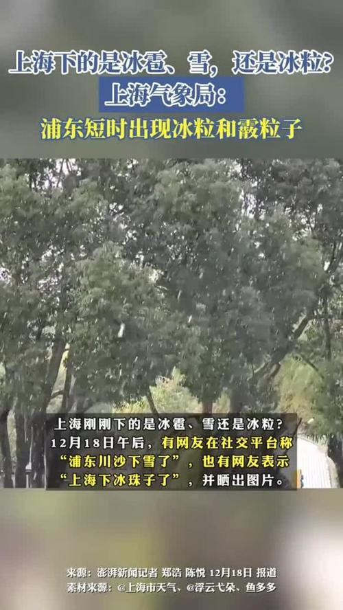 上海嘉定天气未来5个小时,上海嘉定天气实时-第3张图片-优品飞百科 上海嘉定天气未来5个小时,上海嘉定天气实时-第3张图片-优品飞百科