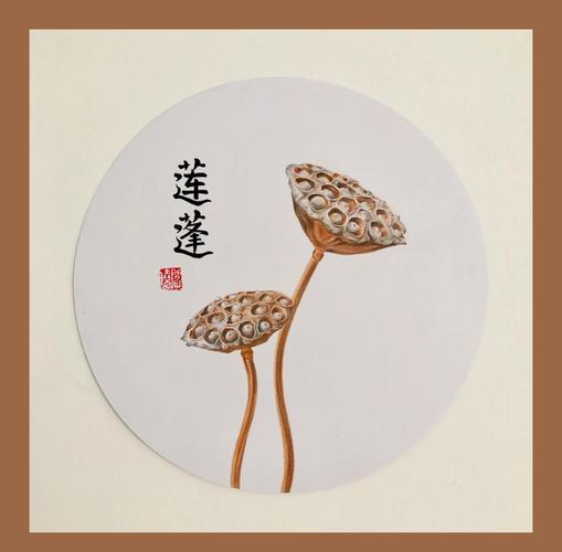 莲蓬寓意，佛 莲蓬寓意？-第1张图片-优品飞百科