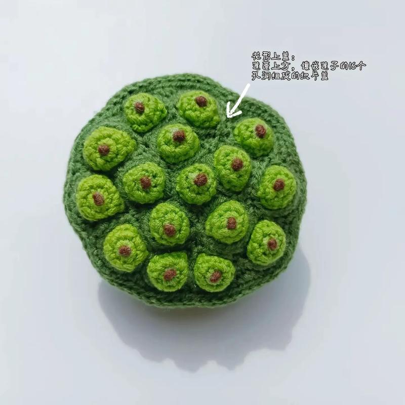 莲蓬寓意，佛 莲蓬寓意？-第5张图片-优品飞百科