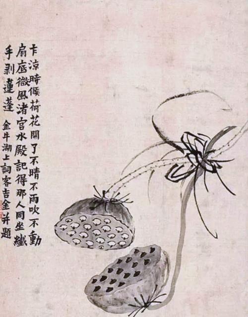 莲蓬寓意，佛 莲蓬寓意？-第7张图片-优品飞百科