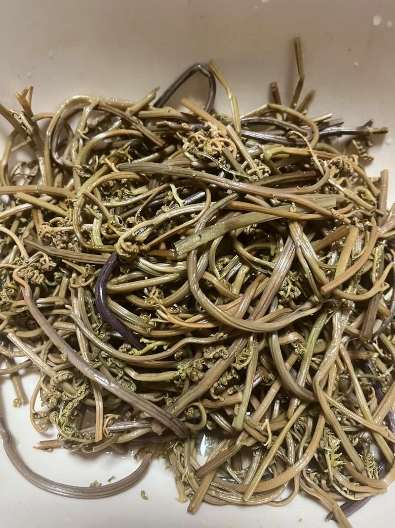 水蕨怎么吃？水蕨要焯水吗？-第4张图片-优品飞百科