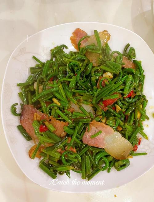 水蕨怎么吃？水蕨要焯水吗？-第6张图片-优品飞百科