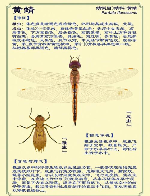 安定天气预报，大兴安定天气预报-第5张图片-优品飞百科