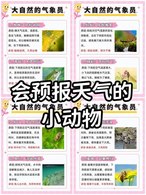 安定天气预报，大兴安定天气预报-第6张图片-优品飞百科