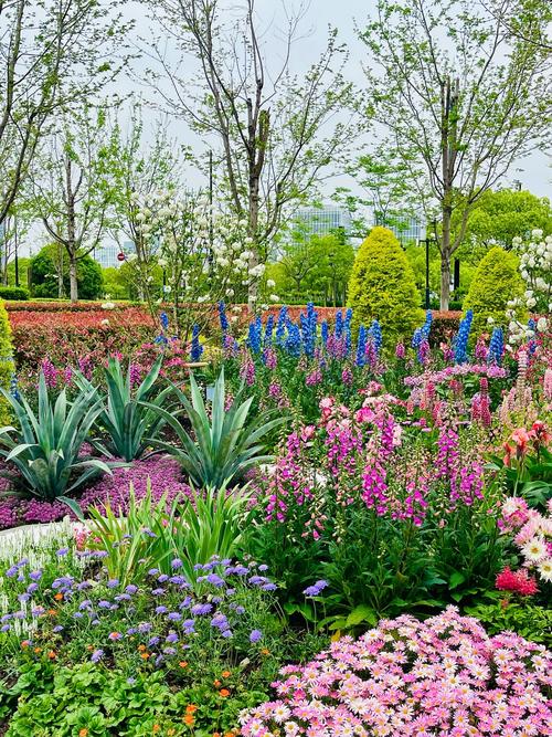 上海适合养什么花，市花和市树是什么？上海长年适合养的花？-第1张图片-优品飞百科