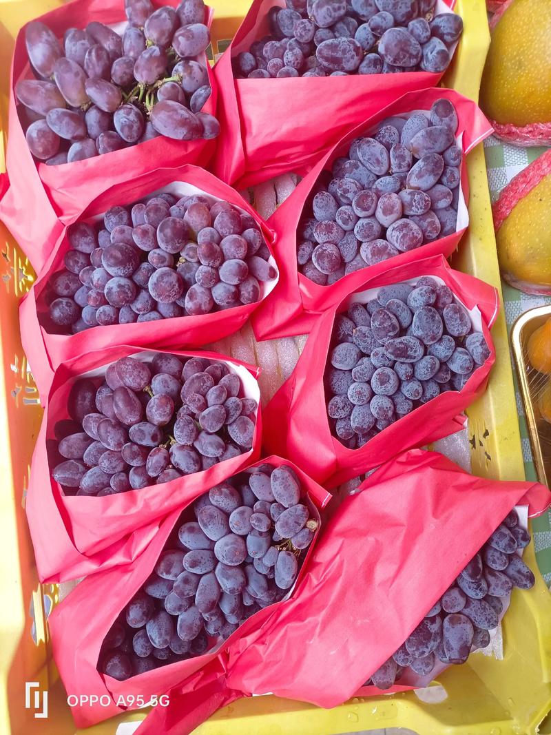 比阳光玫瑰还好的葡萄品种，像阳光玫瑰发黄的葡萄是什么品种-第4张图片-优品飞百科