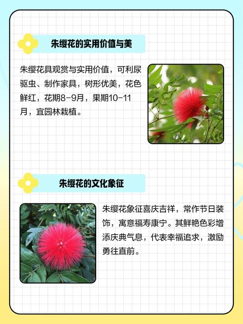 朱缨花的花语和象征代表意义，朱缨花什么时候开花？-第1张图片-优品飞百科