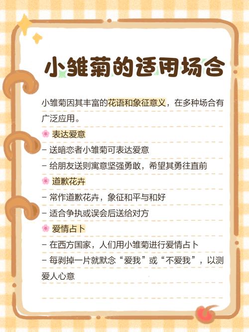 雏菊的花语及传说？雏菊的花语及传说和寓意？-第2张图片-优品飞百科