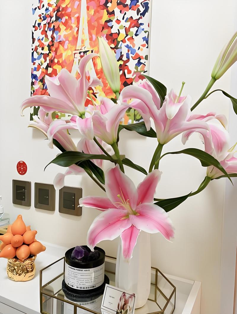 百合花放在卧室好吗,百合花放在卧室好吗风水好吗-第1张图片-优品飞百科 百合花放在卧室好吗,百合花放在卧室好吗风水好吗-第1张图片-优品飞百科