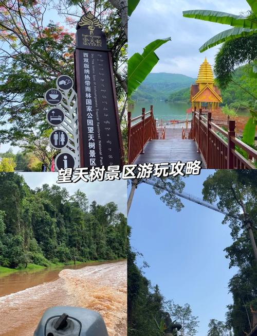 景谷天气预报一周，景谷天气预报7天准确？-第1张图片-优品飞百科