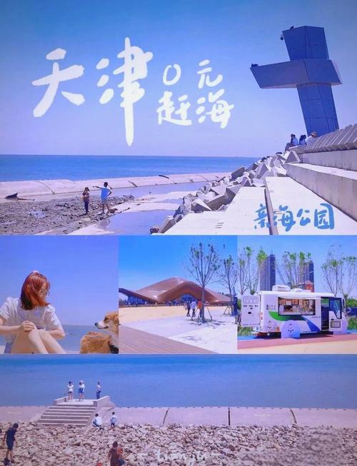 天津滨海天气预报，天津滨海天气预报最新？-第5张图片-优品飞百科