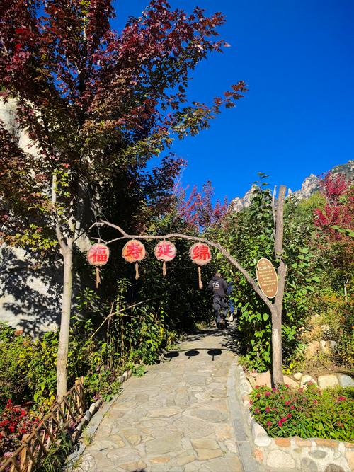 天气预报灵寿，天气预报灵寿县三圣院乡-第4张图片-优品飞百科