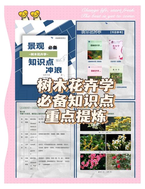 海口适合养什么花,市花和市树是什么,海口适合养什么植物?-第6张图片-优品飞百科 海口适合养什么花,市花和市树是什么,海口适合养什么植物?-第6张图片-优品飞百科