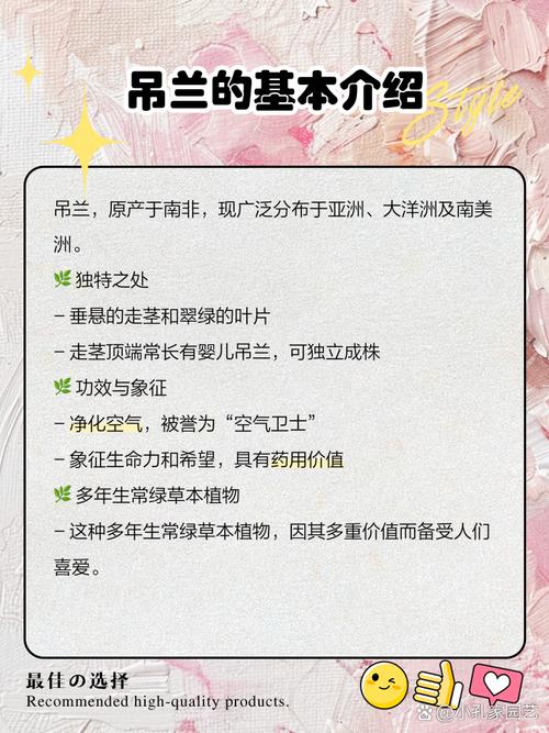 吊兰开花预示着什么，吊兰开花意味着什么-第6张图片-优品飞百科