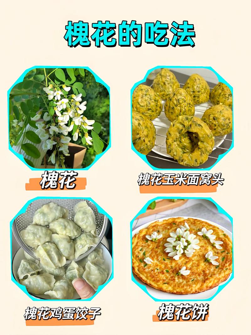 5月槐花香,各种吃法,款款让你流口水！，槐花香五月下联-第6张图片-优品飞百科