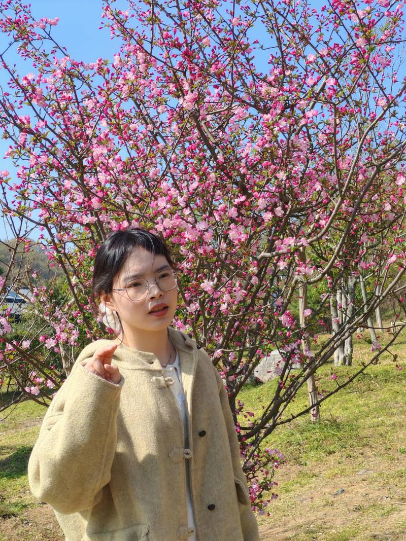 池州适合养什么花，市花和市树是什么？池州市的市花？-第3张图片-优品飞百科