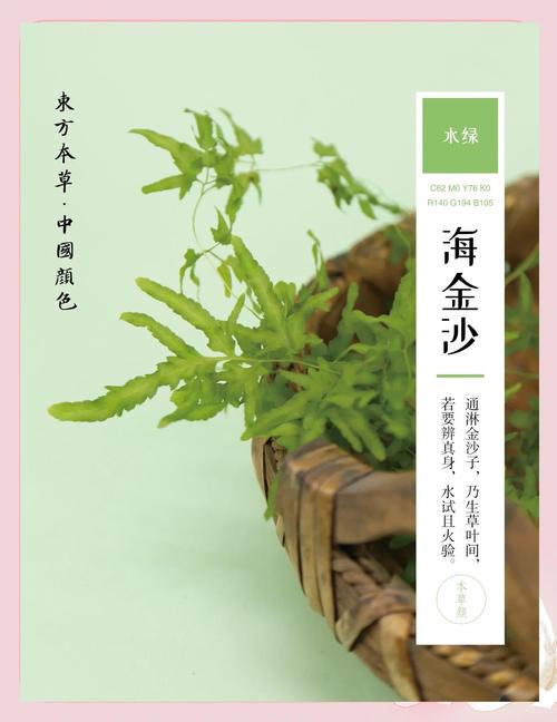 金沙藤的功效与作用，金沙藤的功效与作用及食用方法-第5张图片-优品飞百科