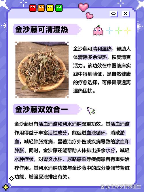 金沙藤的功效与作用，金沙藤的功效与作用及食用方法-第6张图片-优品飞百科