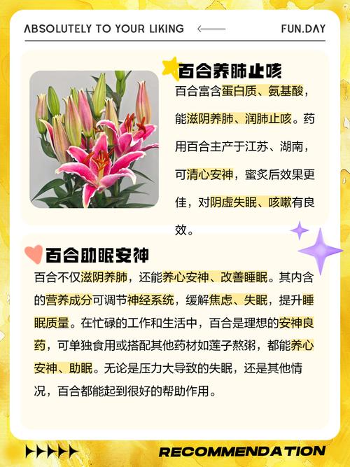 百合有什么营养价值,什么人不能吃,百合有什么营养?能长期食用吗??-第1张图片-优品飞百科 百合有什么营养价值,什么人不能吃,百合有什么营养?能长期食用吗??-第1张图片-优品飞百科