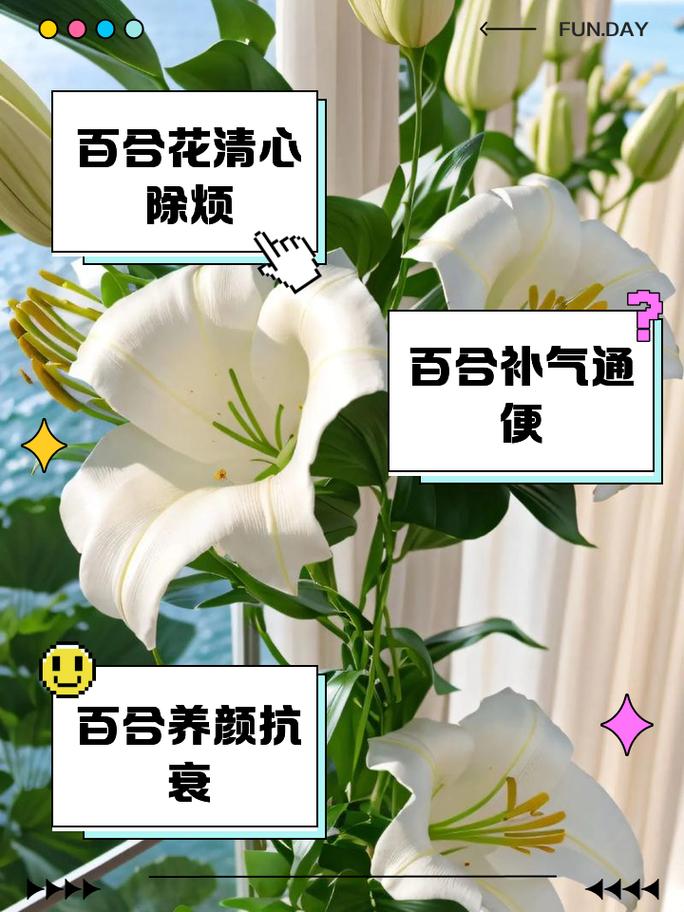 百合有什么营养价值,什么人不能吃,百合有什么营养?能长期食用吗??-第2张图片-优品飞百科 百合有什么营养价值,什么人不能吃,百合有什么营养?能长期食用吗??-第2张图片-优品飞百科