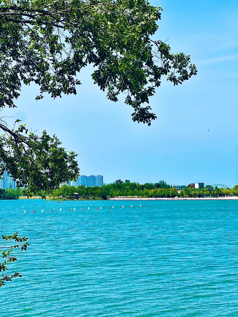 盐城市阜宁县天气预报，阜宁县天气预报详情-第2张图片-优品飞百科