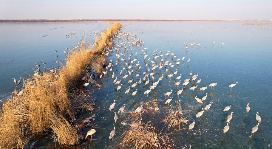 武强县天气预报，武强县天气预报15天查询-第1张图片-优品飞百科