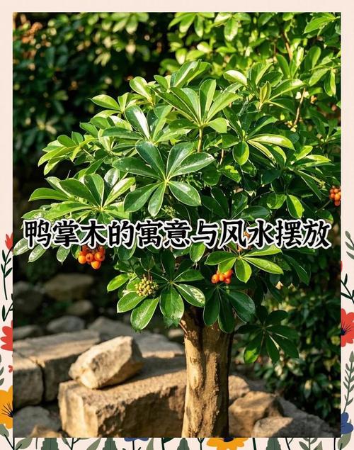 双鸭山适合养什么花，市花和市树是什么，双鸭山市适合定居吗?？-第2张图片-优品飞百科
