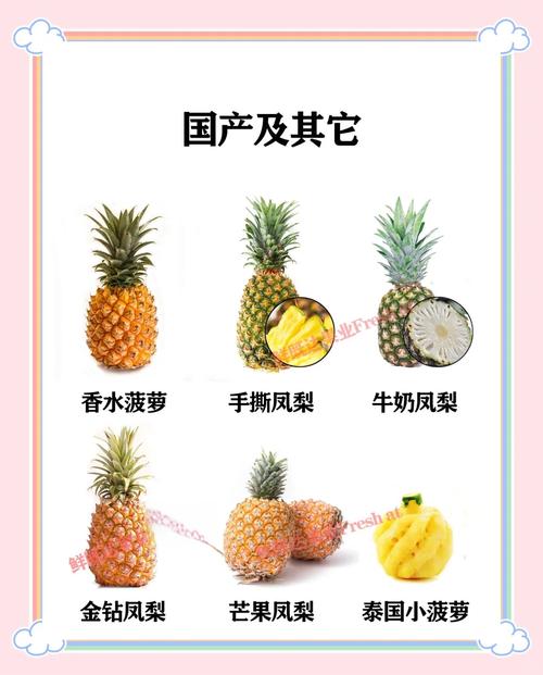 凤梨和菠萝的区别，菠萝和凤梨一样吗？凤梨与菠萝的区别?？-第2张图片-优品飞百科
