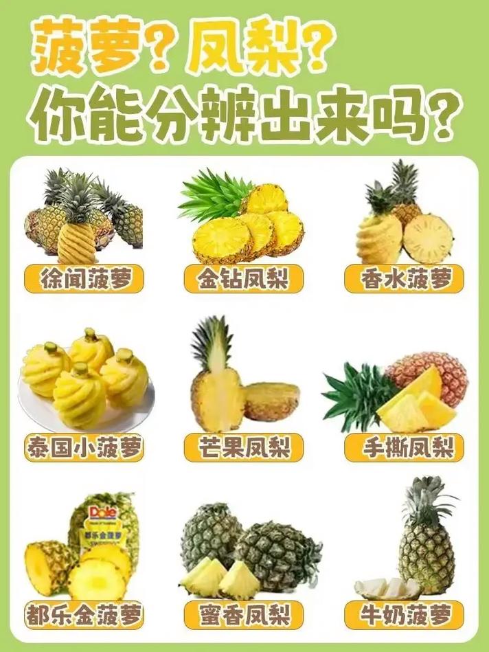 凤梨和菠萝的区别，菠萝和凤梨一样吗？凤梨与菠萝的区别?？-第5张图片-优品飞百科