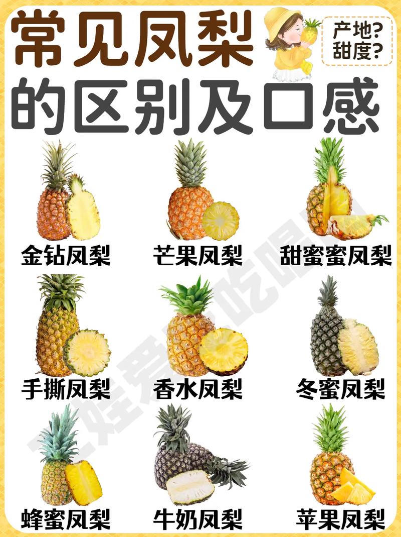 凤梨和菠萝的区别，菠萝和凤梨一样吗？凤梨与菠萝的区别?？-第6张图片-优品飞百科