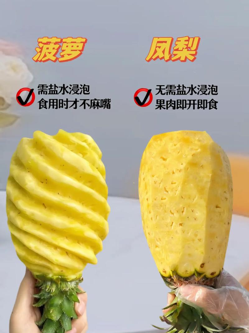 凤梨和菠萝的区别，菠萝和凤梨一样吗？凤梨与菠萝的区别?？-第7张图片-优品飞百科