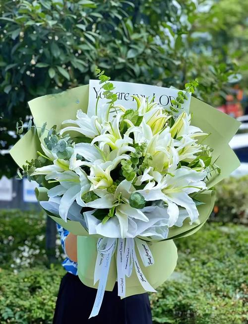 老人适合养什么花？老人家适合养什么植物？-第1张图片-优品飞百科