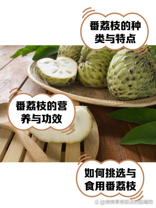 番荔枝的主要价值？番荔枝的营养？-第5张图片-优品飞百科