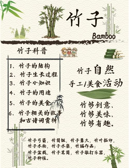 竹子的枝丫有什么作用？竹子的枝丫有什么作用和用途？-第1张图片-优品飞百科