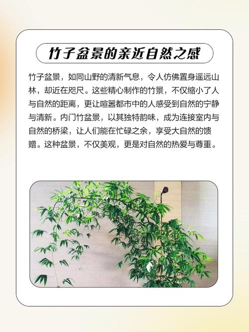 竹子的枝丫有什么作用？竹子的枝丫有什么作用和用途？-第2张图片-优品飞百科