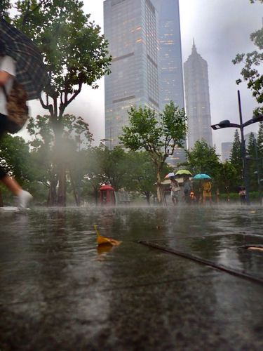 未来一周上海浦东天气预报查询，上海浦东天气预报2345？-第8张图片-优品飞百科